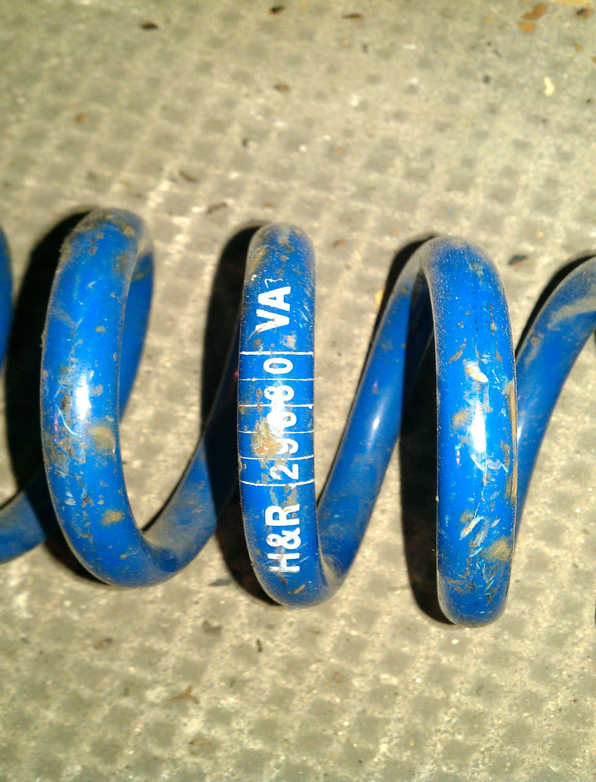 IMAG0239.jpg