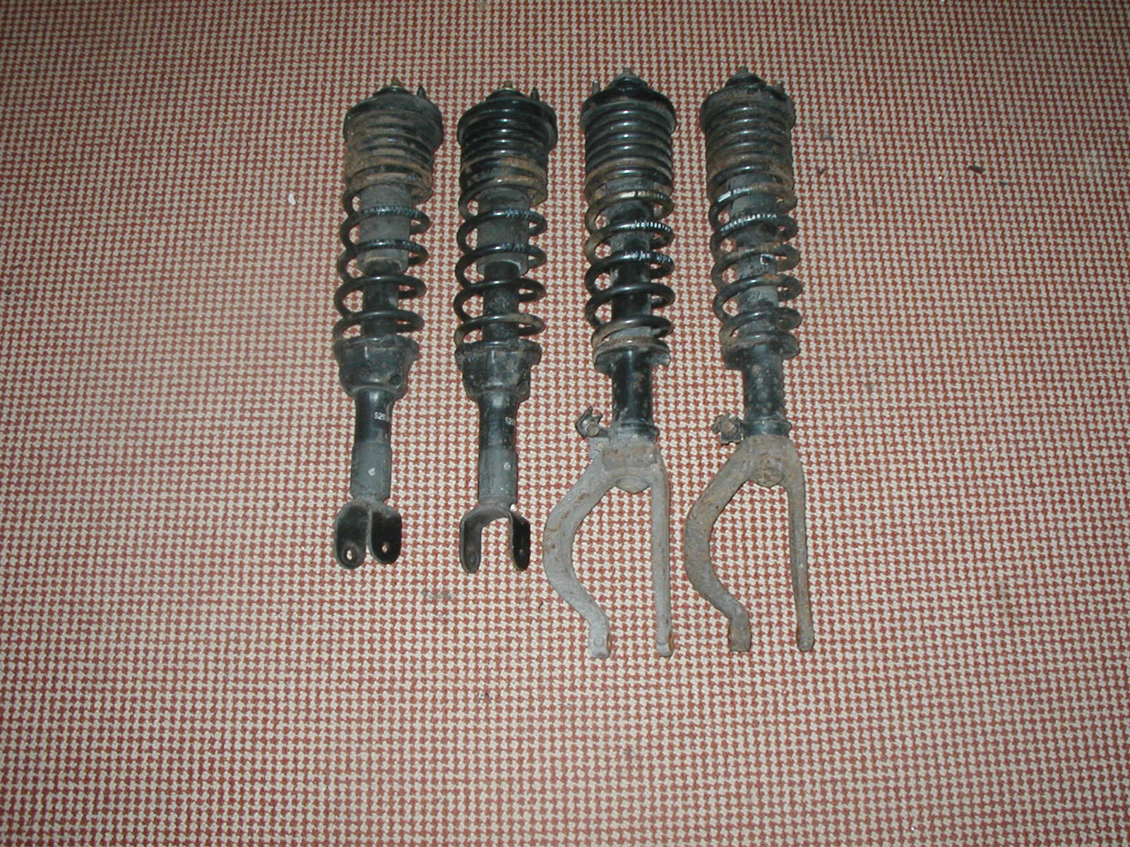 P1010254.JPG