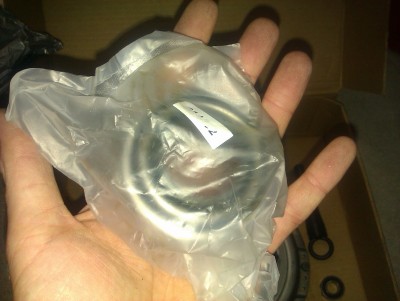 IMAG0244.jpg