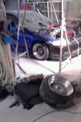 IMG0119A.jpg