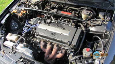 IMG_1682.JPG