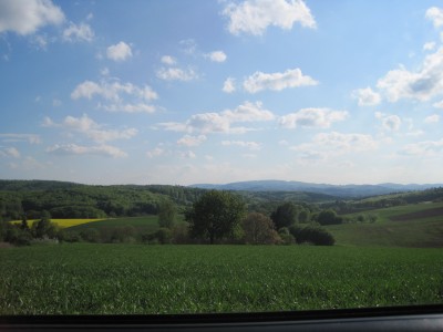 IMG_1948.jpg
