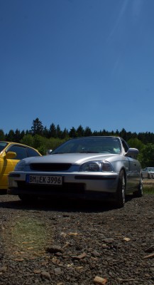 IMG_3799.jpg