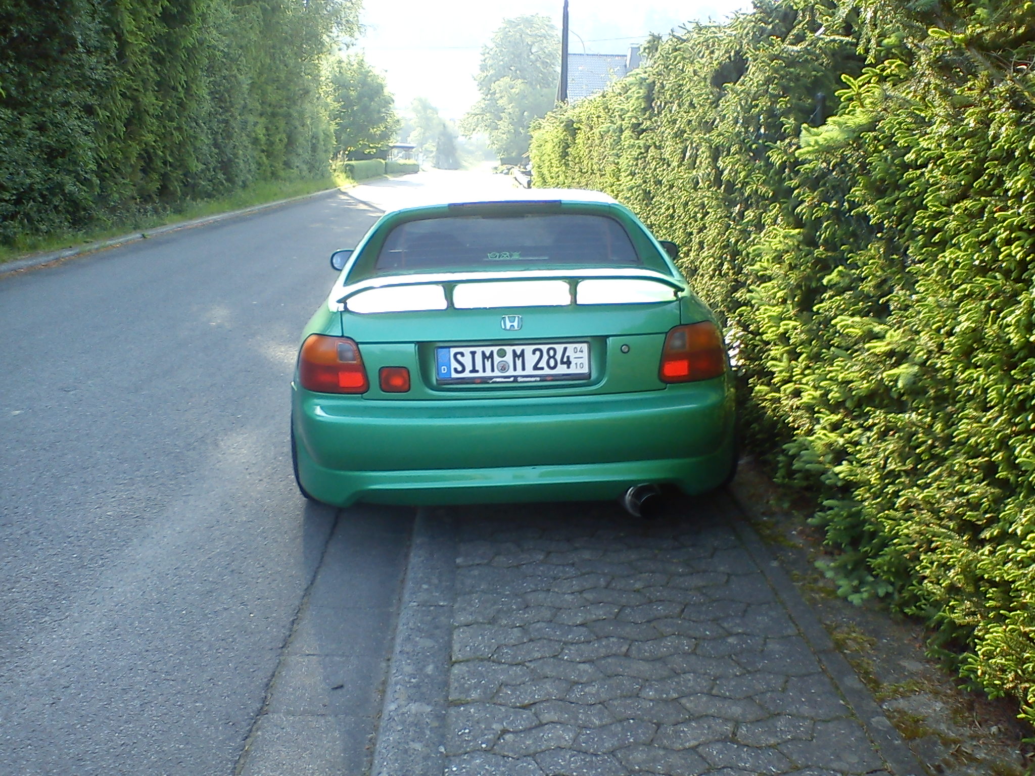 DSC09407.jpg