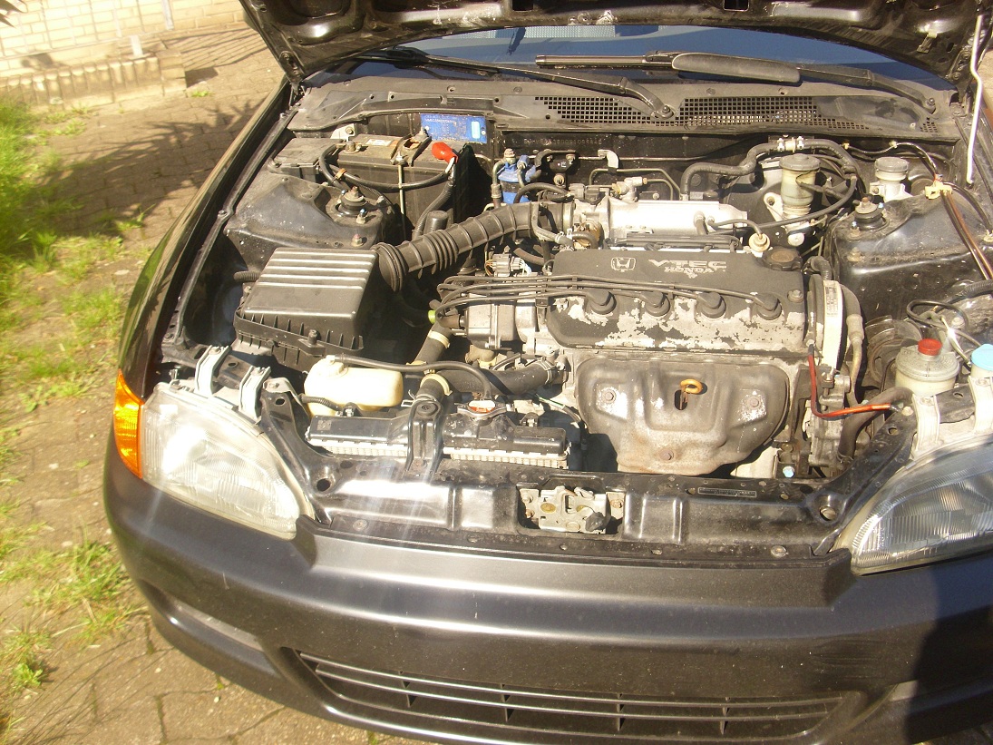 DSCI1514.JPG