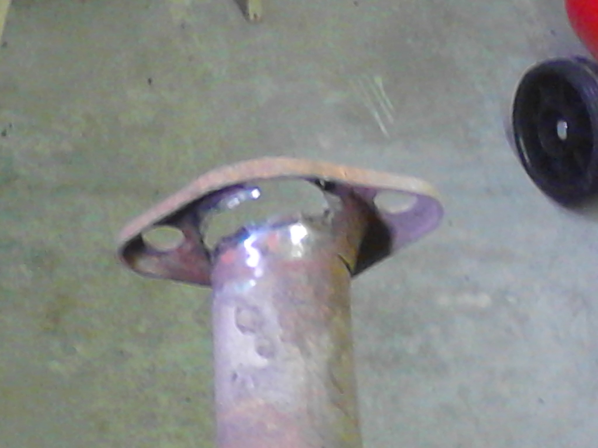 IMG_20120519_110320.jpg