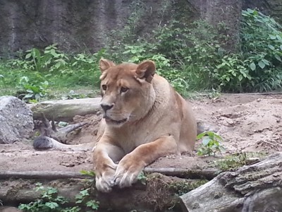20120612_152952.jpg