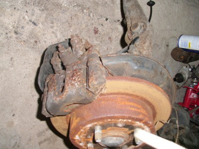 DSCI1231.JPG