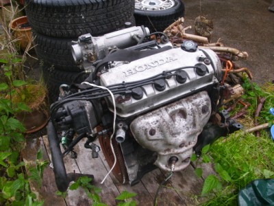 DSCI1238.JPG