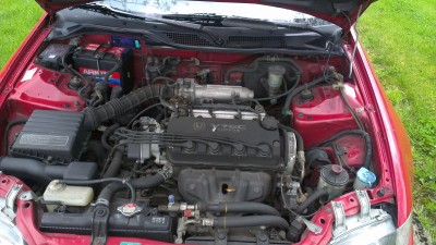 IMAG0015.jpg
