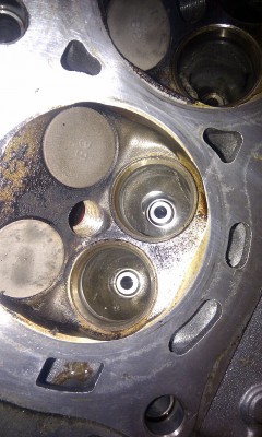 IMAG0661.jpg