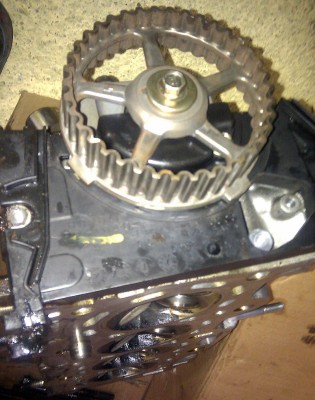 IMAG0667.jpg