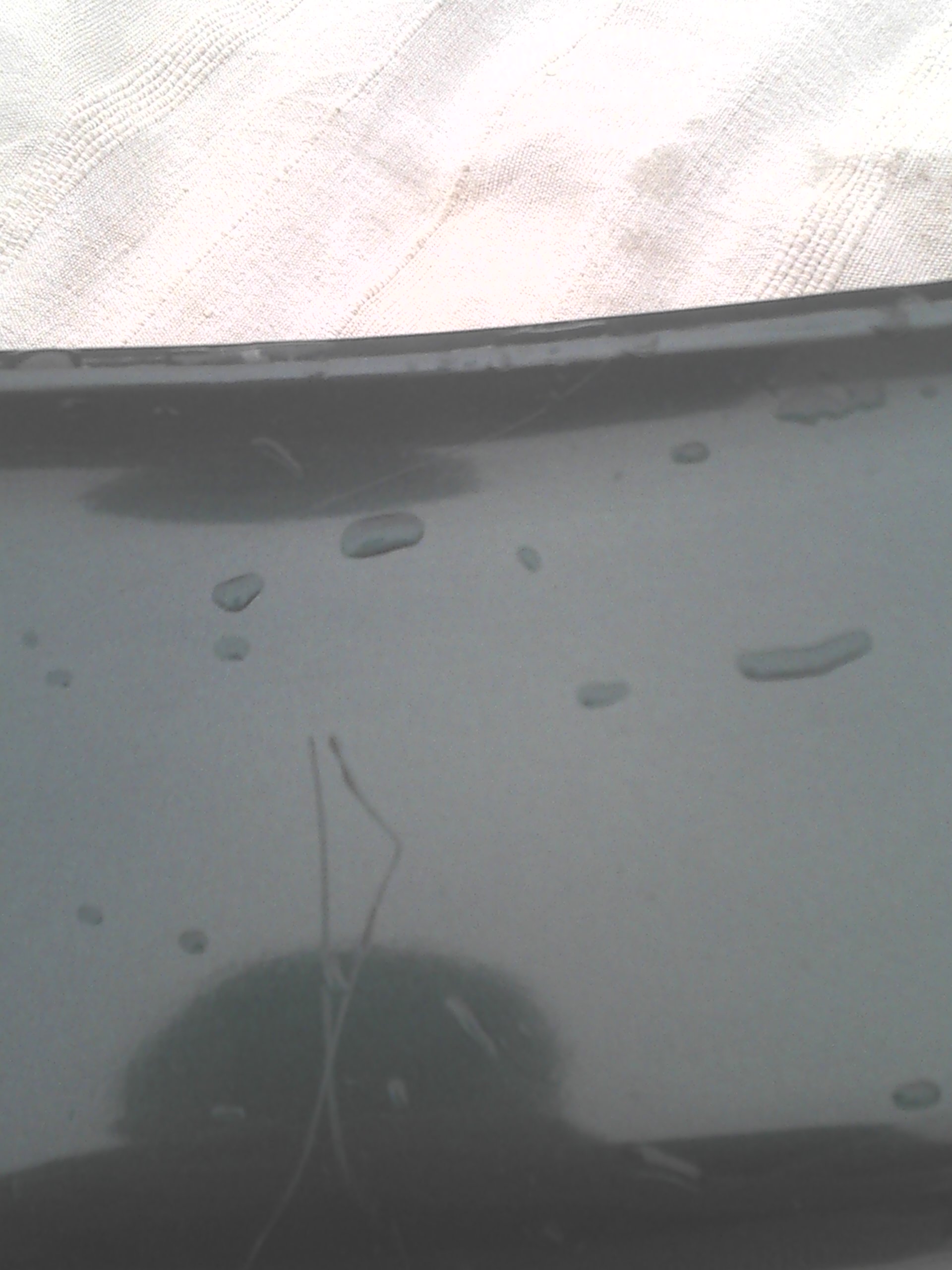 2012-07-03 10.26.21.jpg