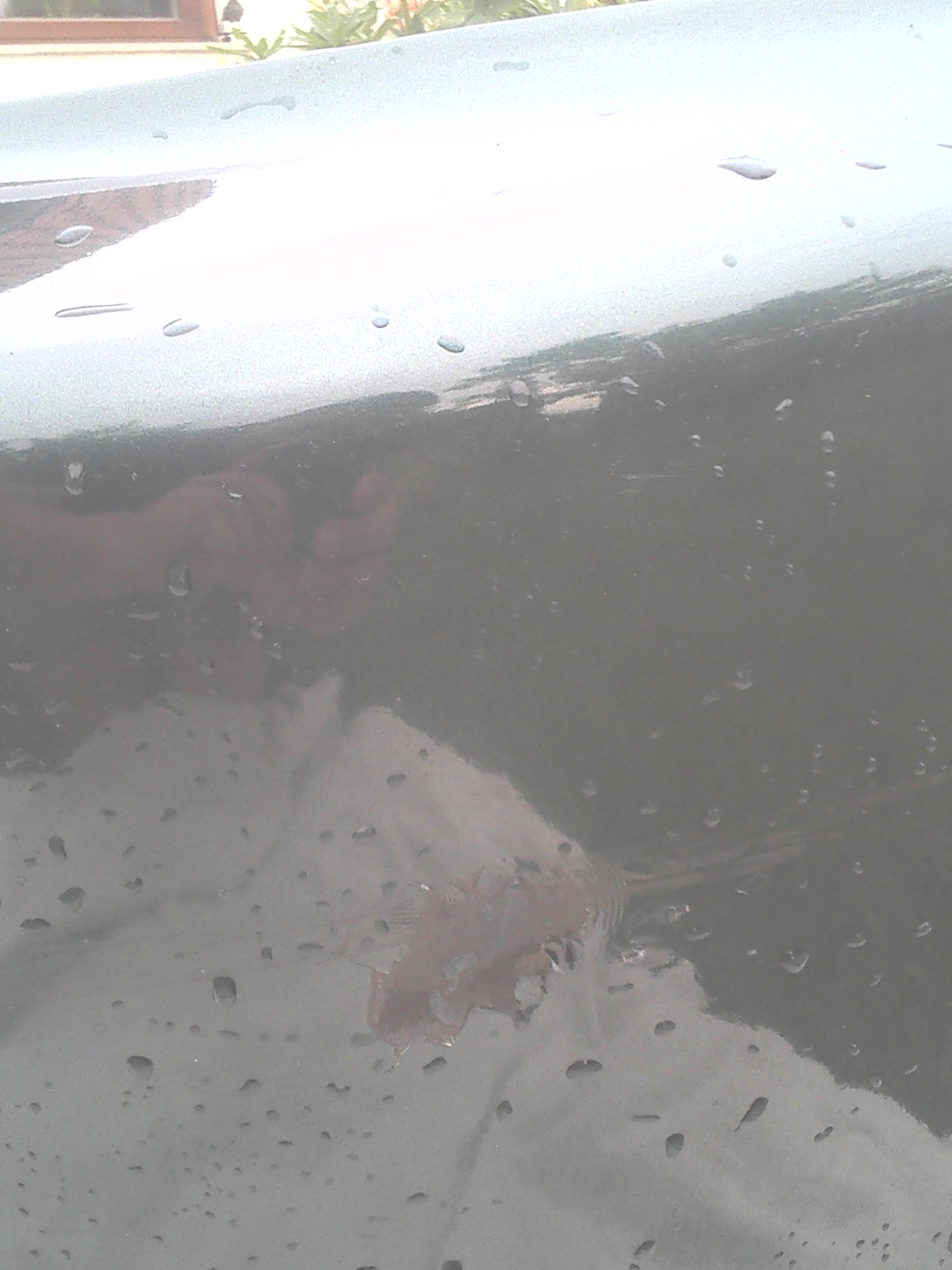 2012-07-03 10.27.17.jpg