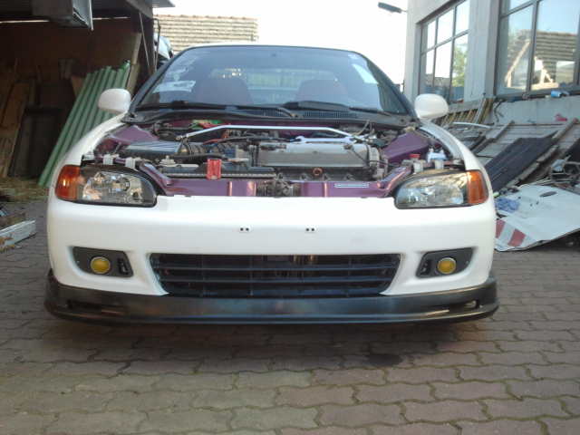 2012-07-23 17.24.02.jpg