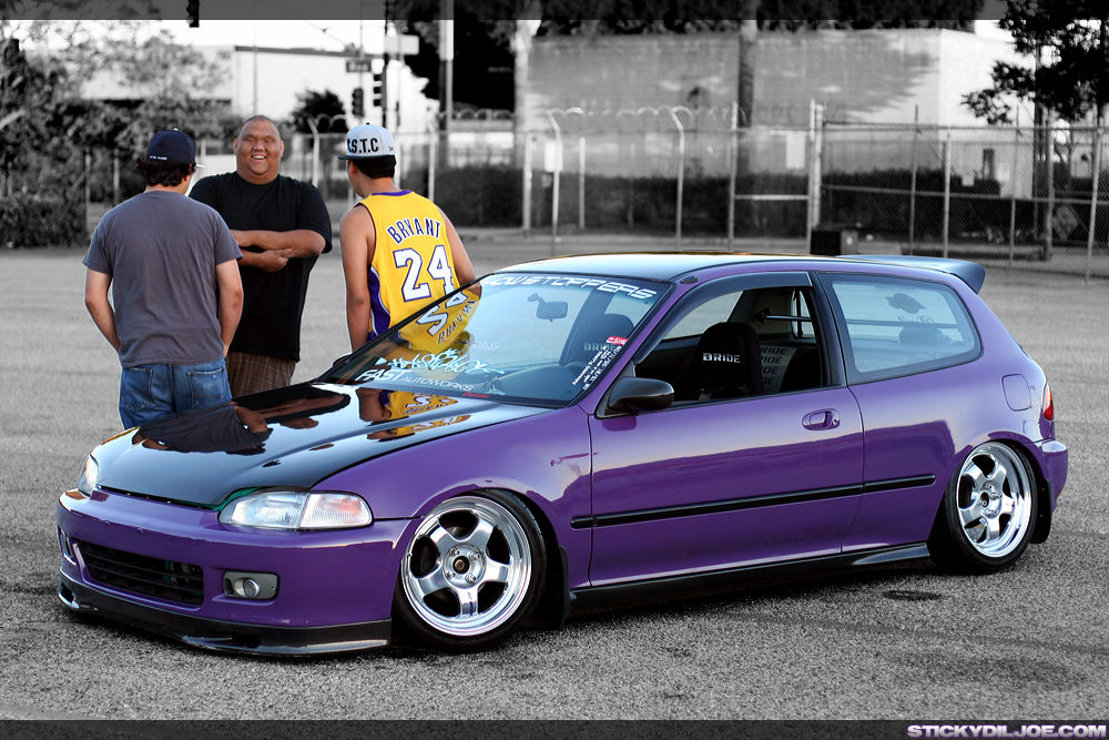 Civic Lila.jpg