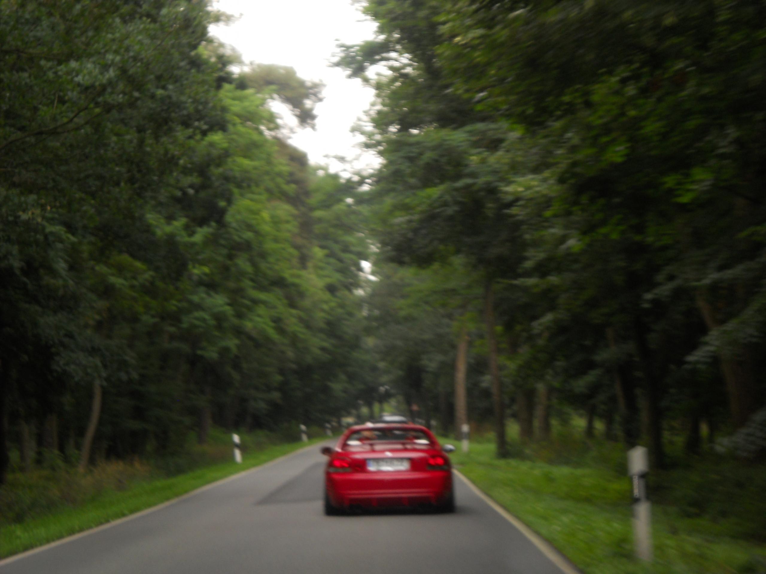 DSCN1972.JPG