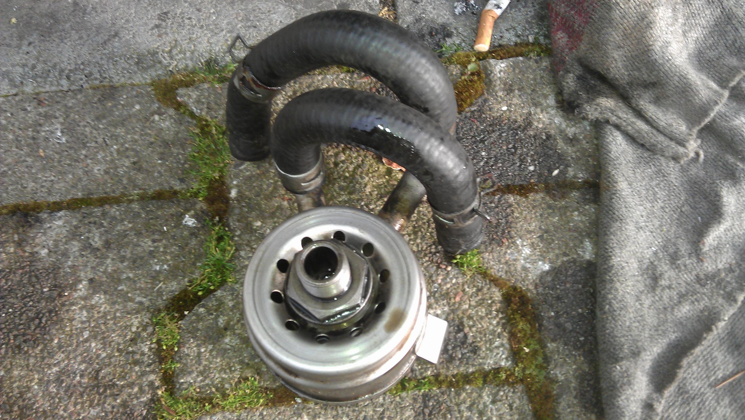 IMAG0341.jpg