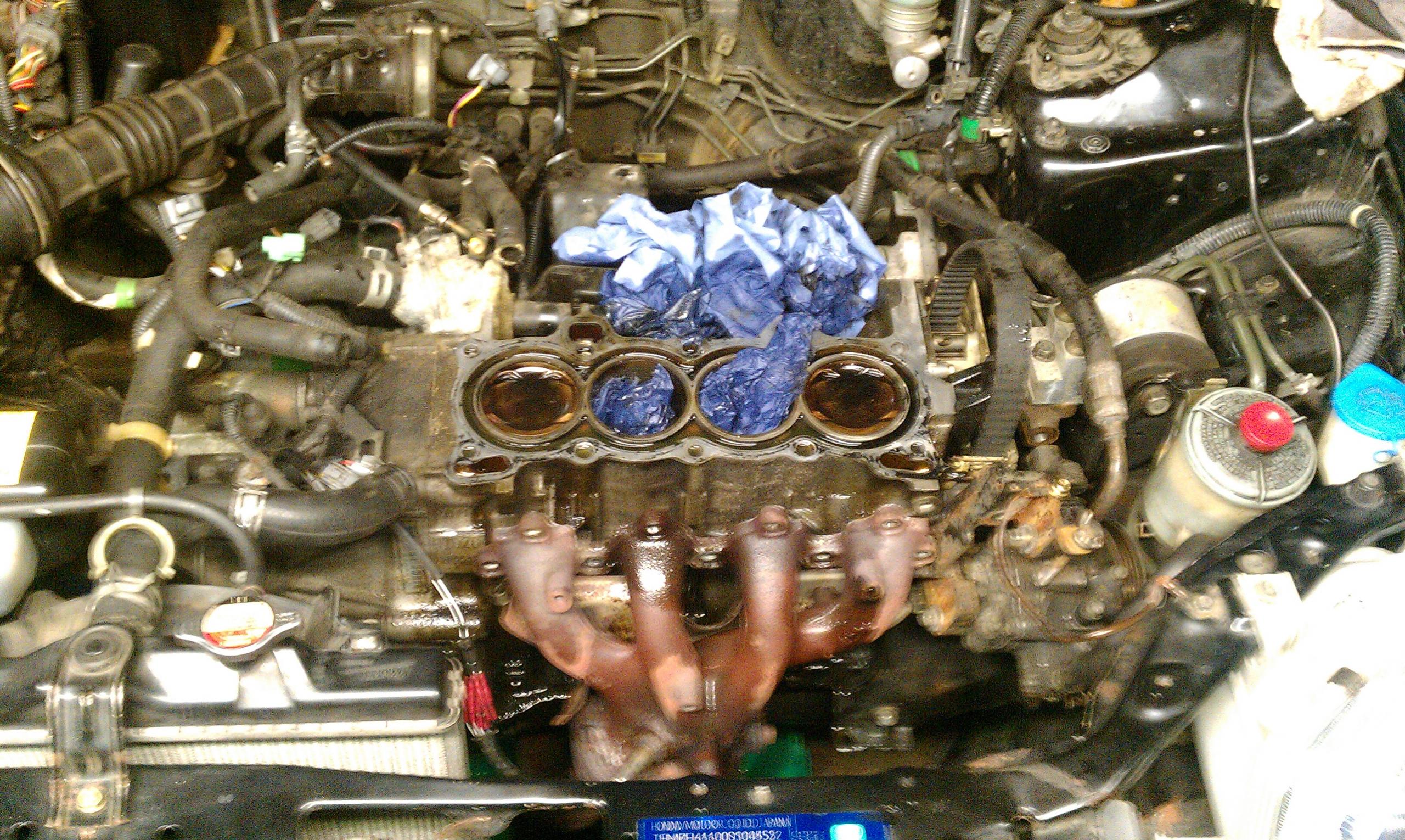 IMAG0438.jpg