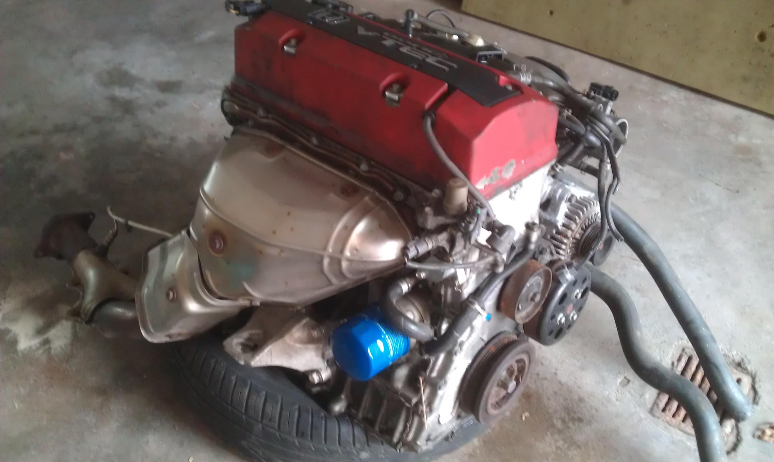 IMAG0982.jpg