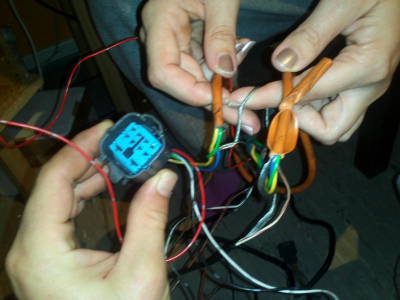 K800_IMG496.JPG