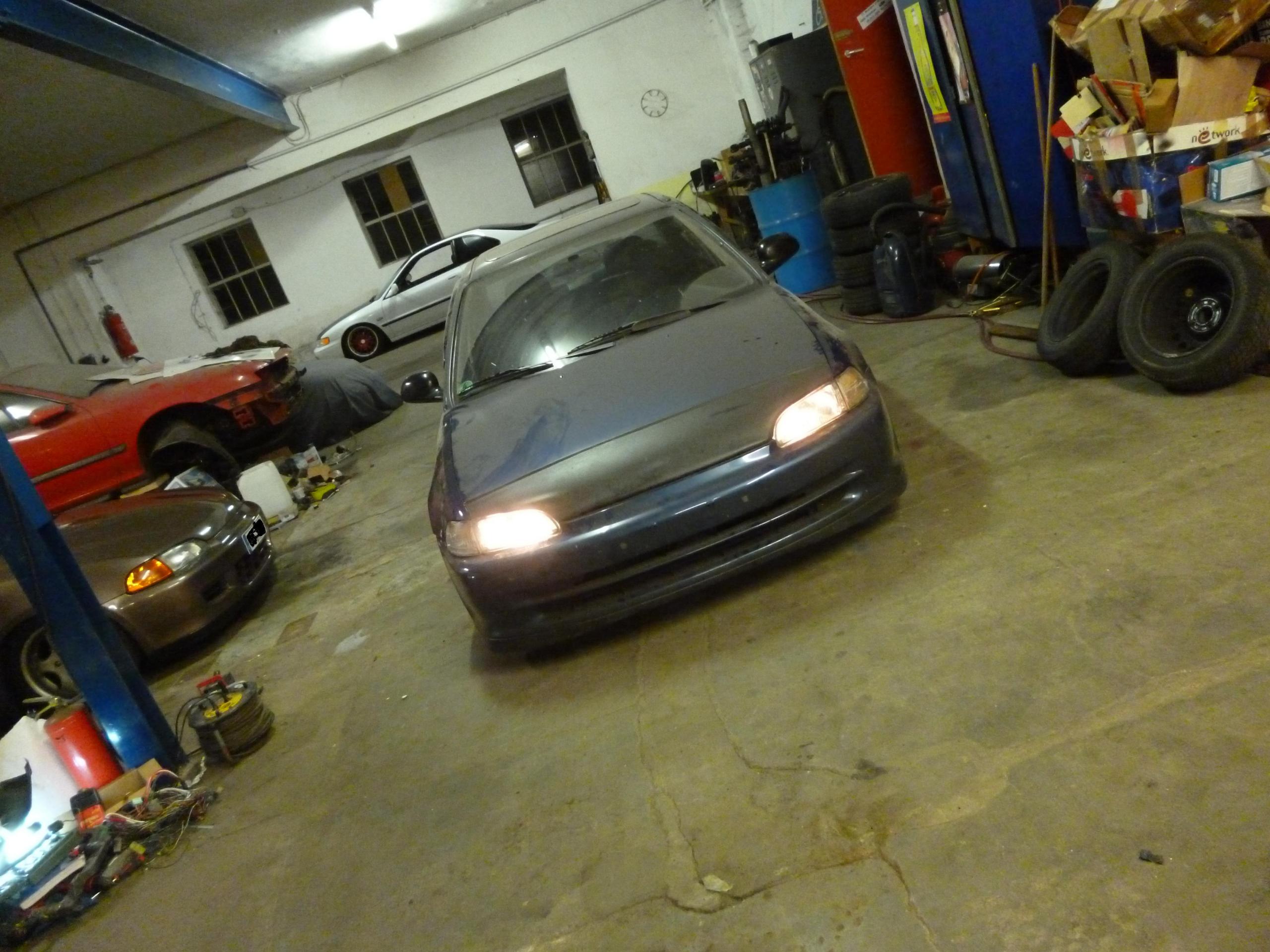 P1000410a.JPG