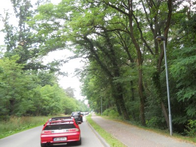 DSCN1959.JPG