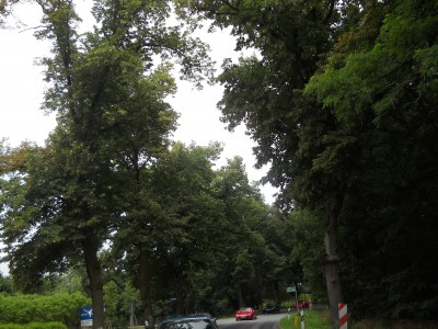 DSCN1969.JPG
