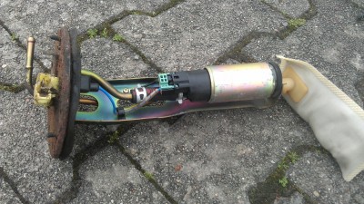 IMAG0269.jpg