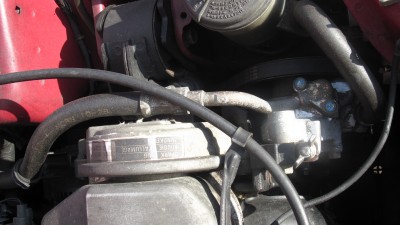 IMG_3143.jpg