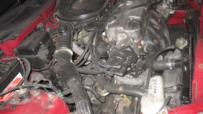 IMG_3171.jpg