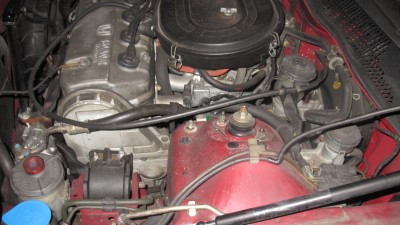 IMG_3173.jpg