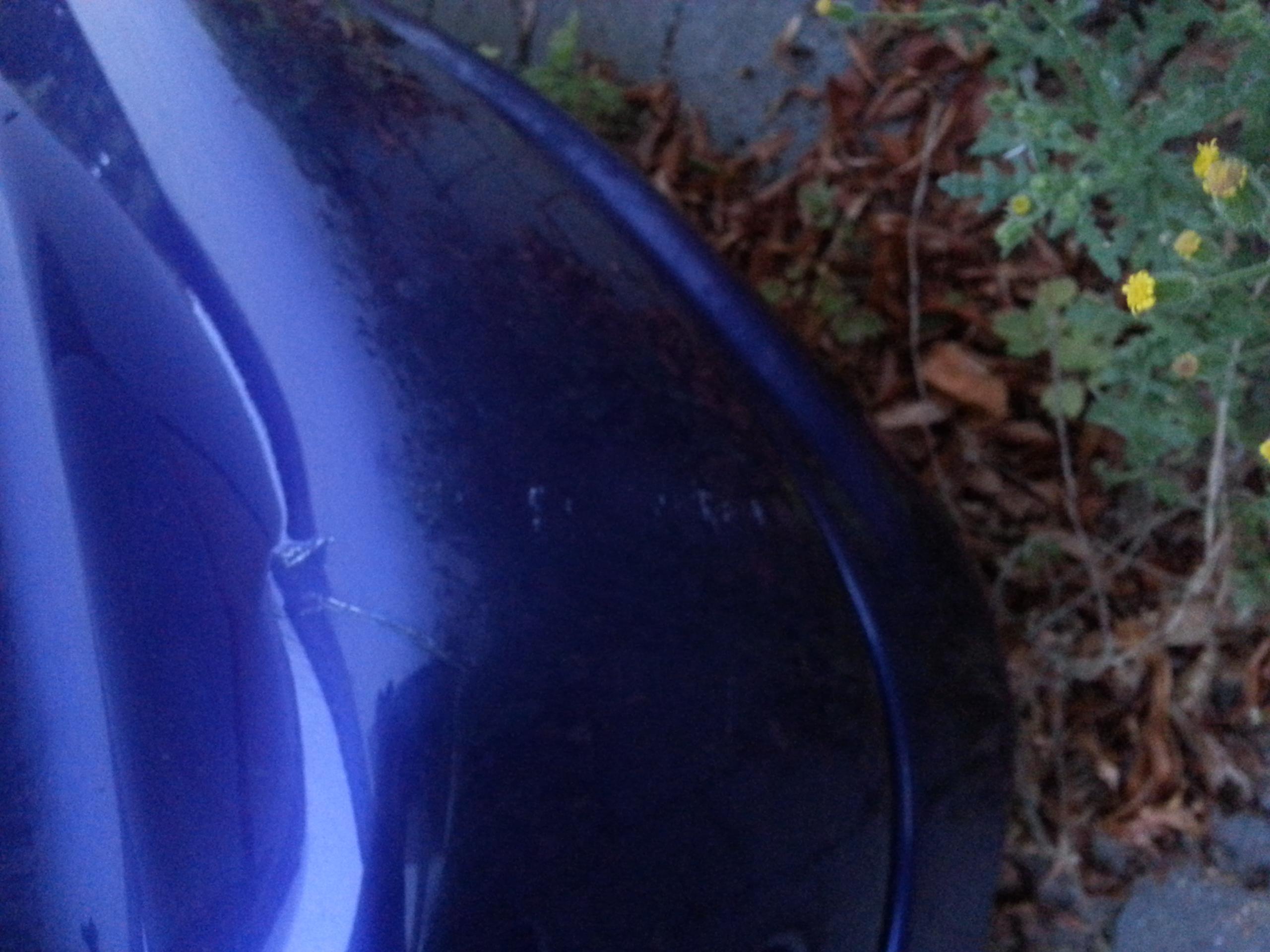 20120823_202649.jpg