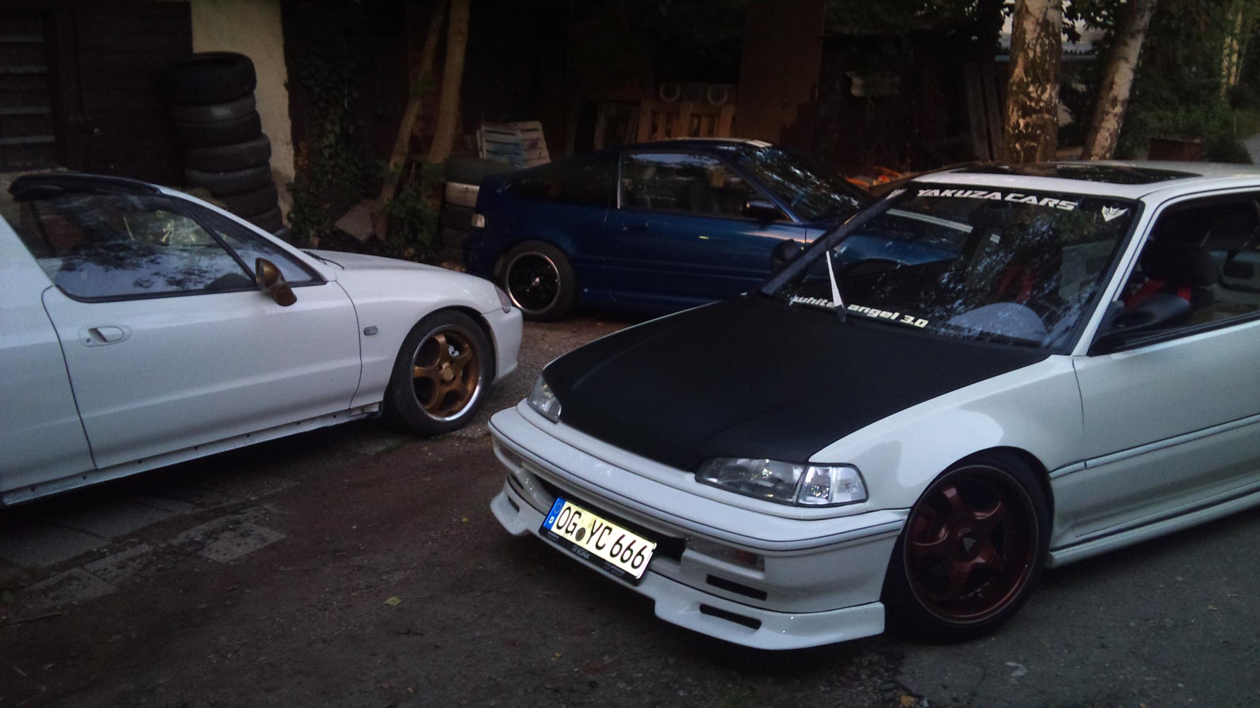 DSC01404.JPG
