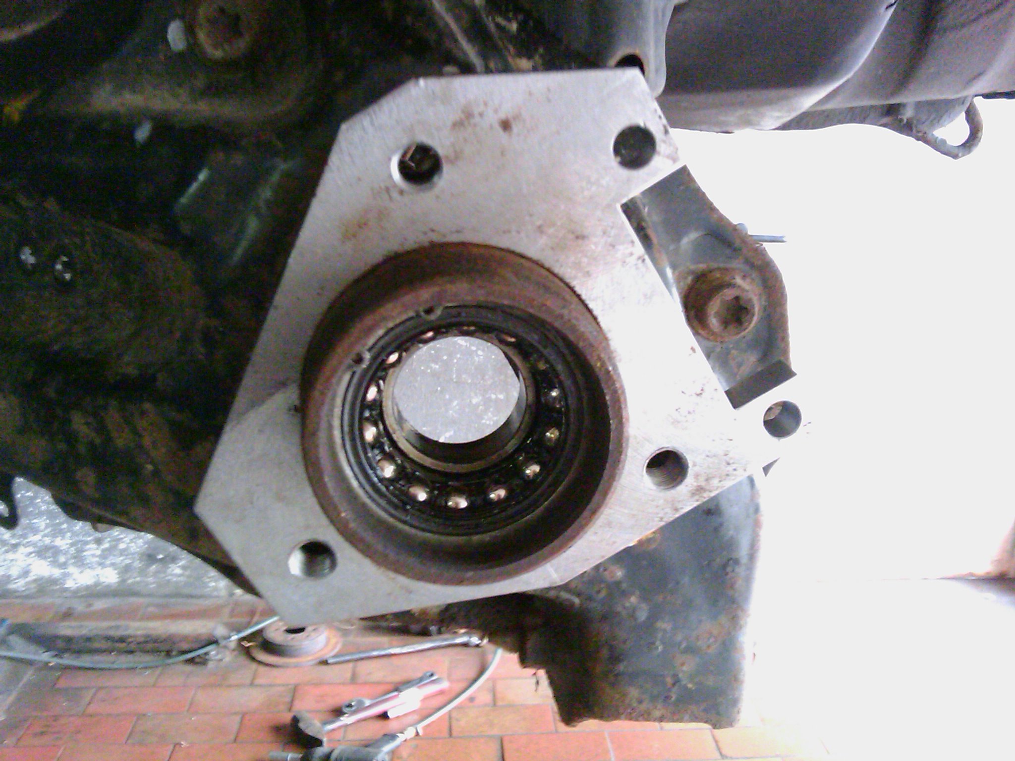 IMAG0088.jpg