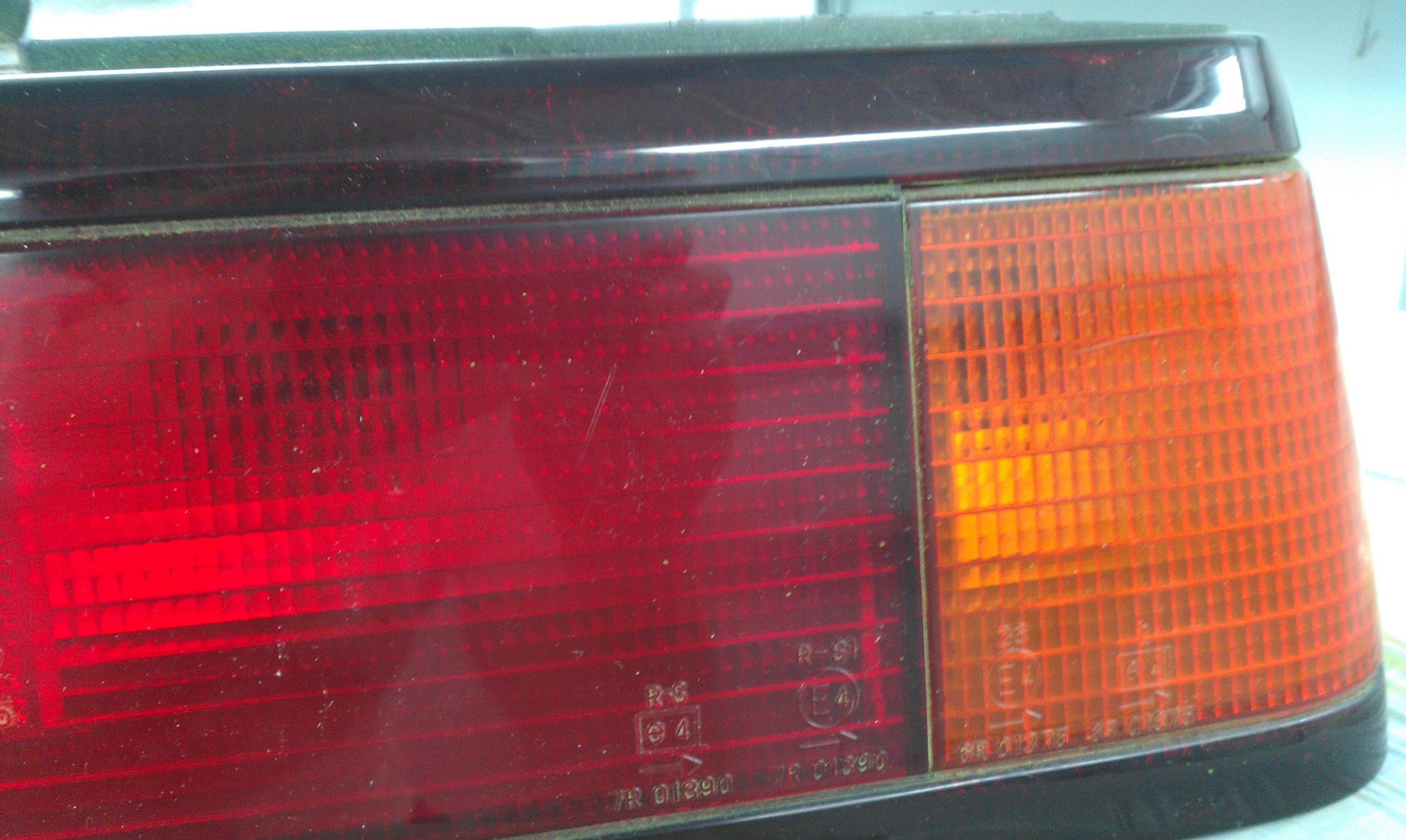 IMAG0485.jpg