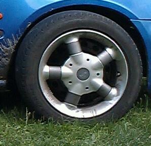IMAG0513-1.jpg