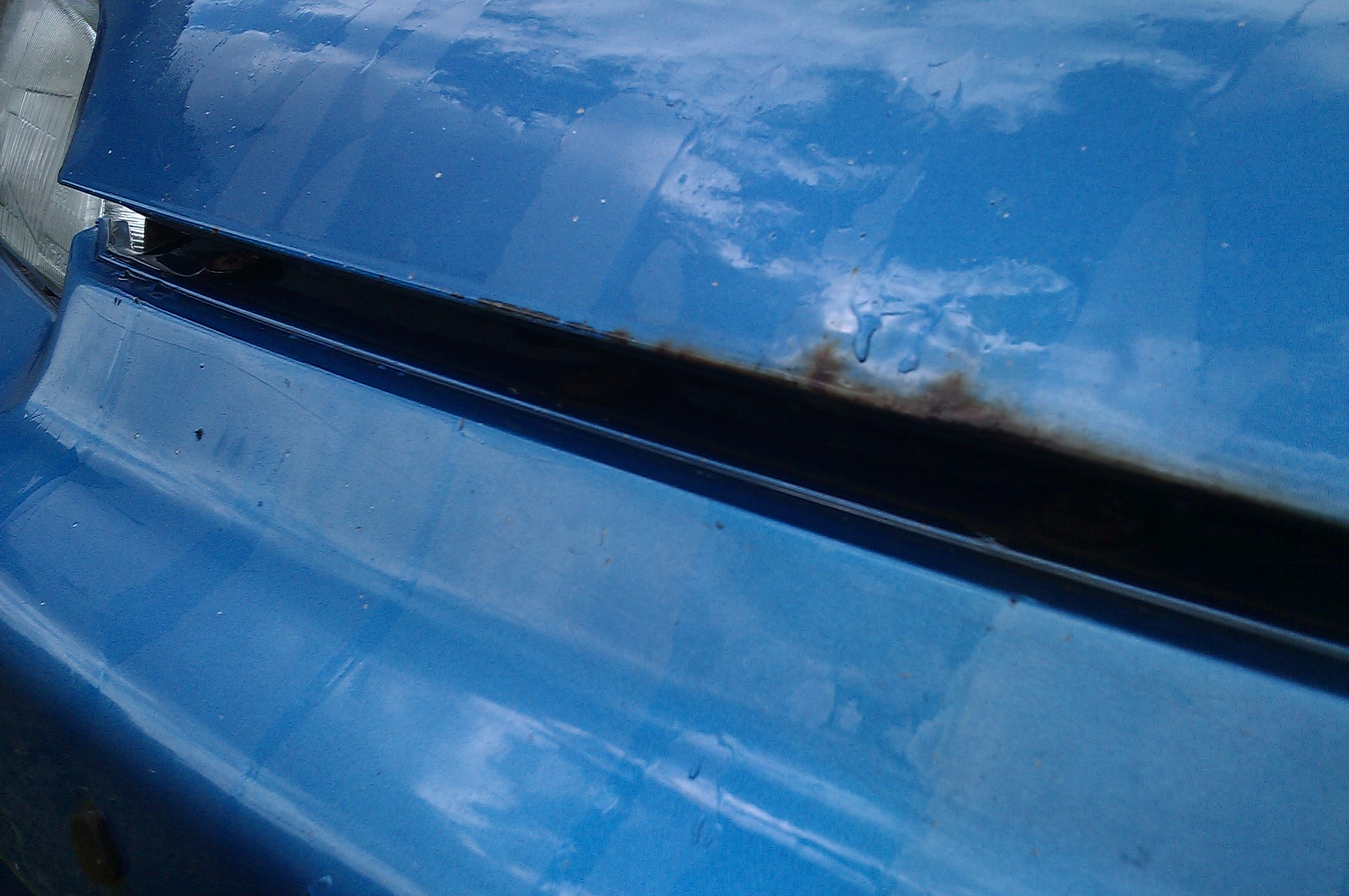 IMAG0577.jpg