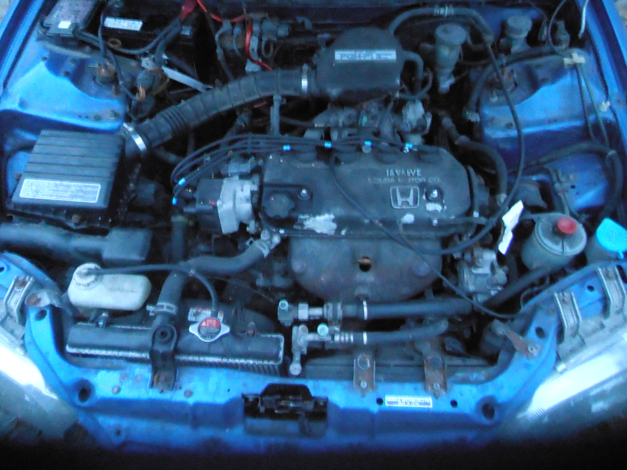 P8140007.JPG