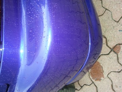 20120830_190002.jpg