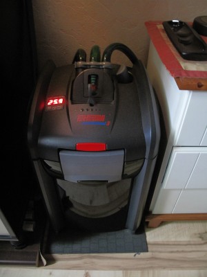IMG_1724.JPG