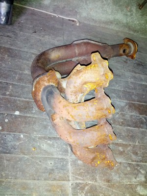 IMG_20120808_190953.jpg