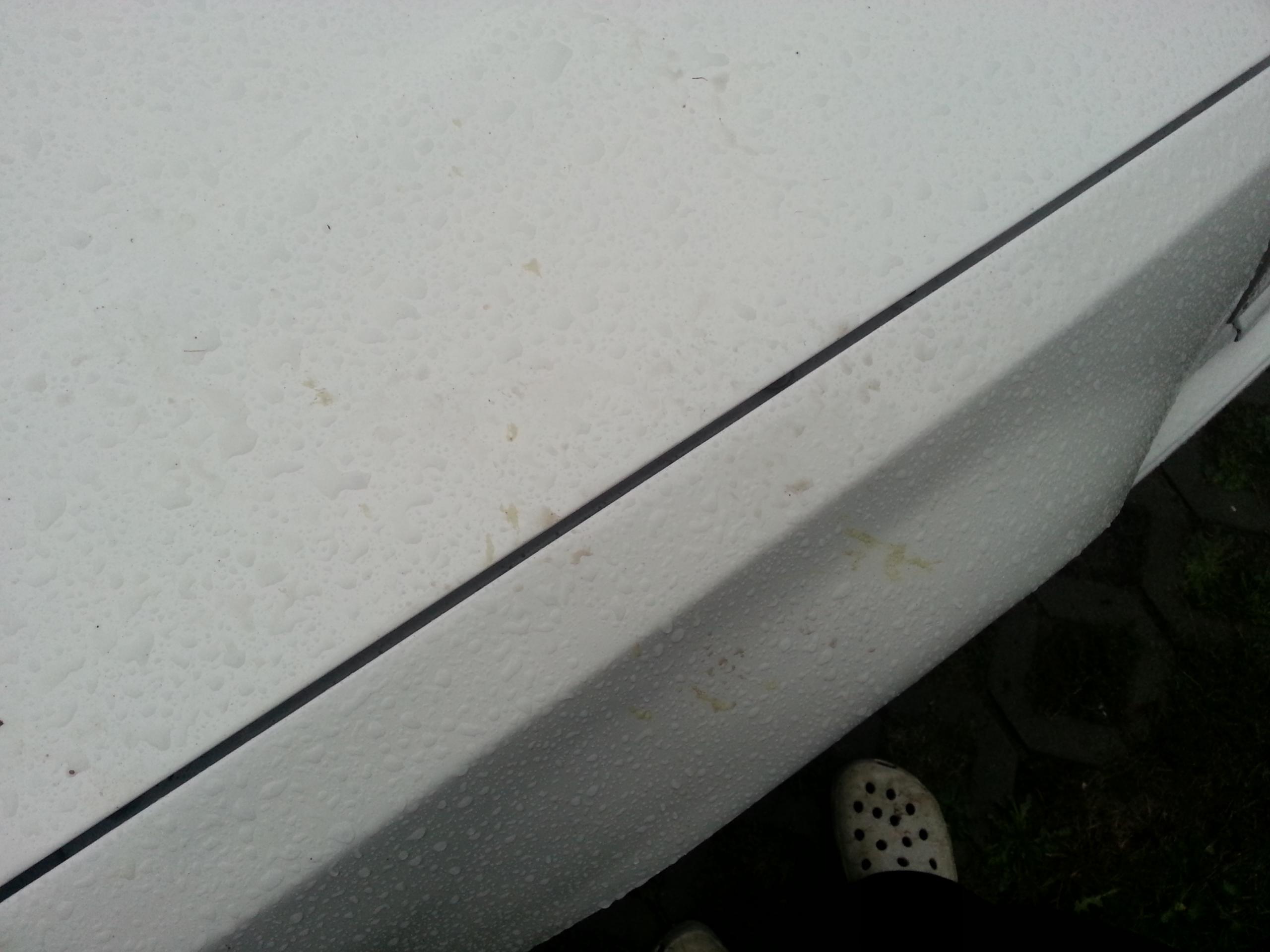 20120830_191953.jpg