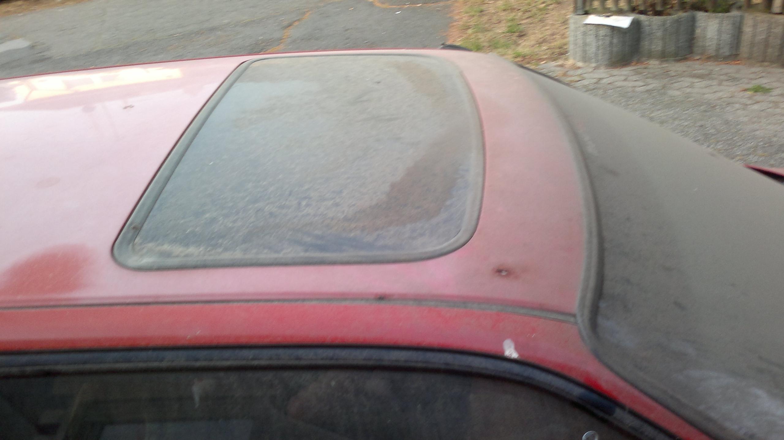 2012-09-08-059.jpg