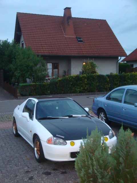 DSC03381.JPG