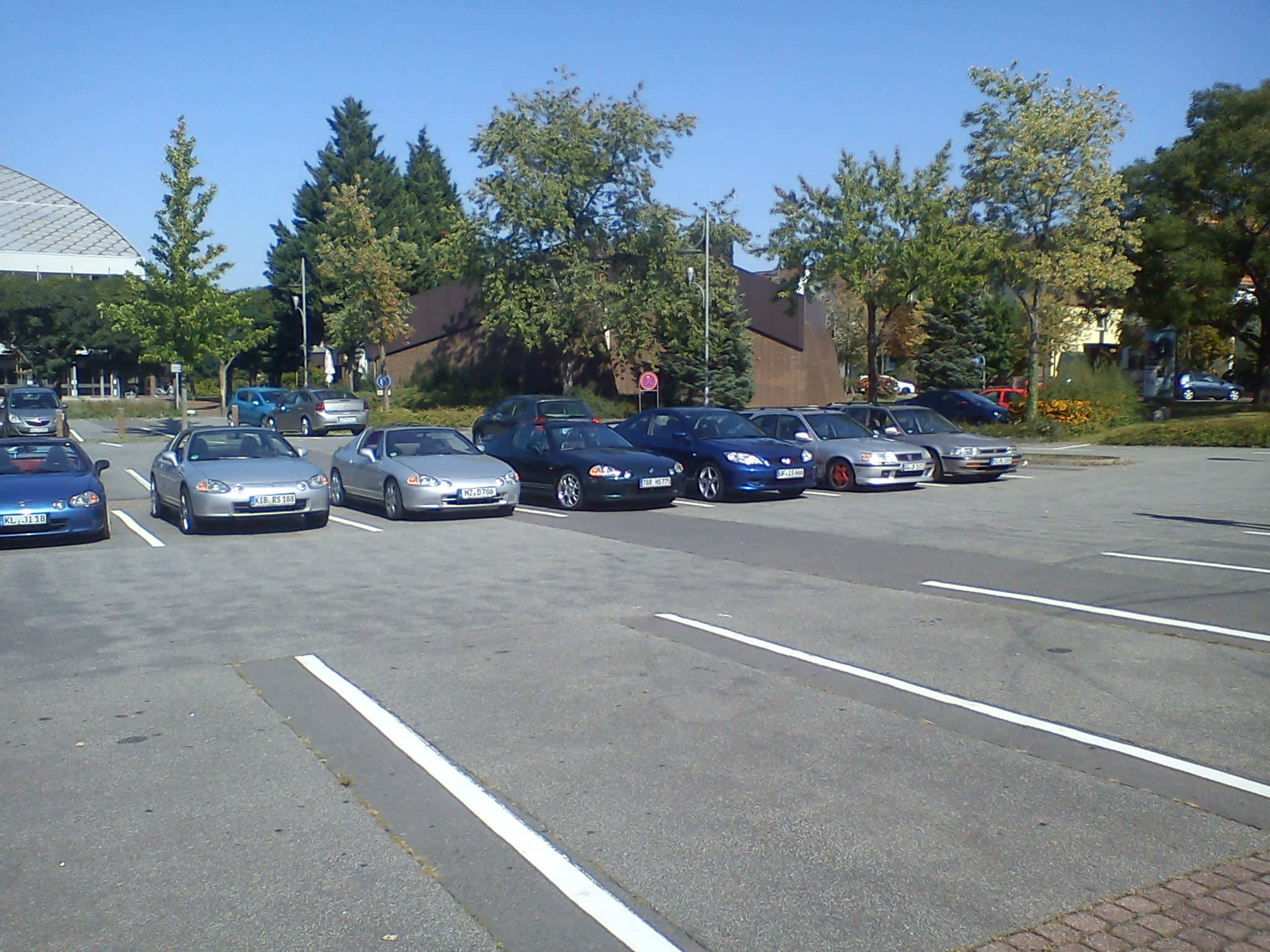 DSC09678.jpg