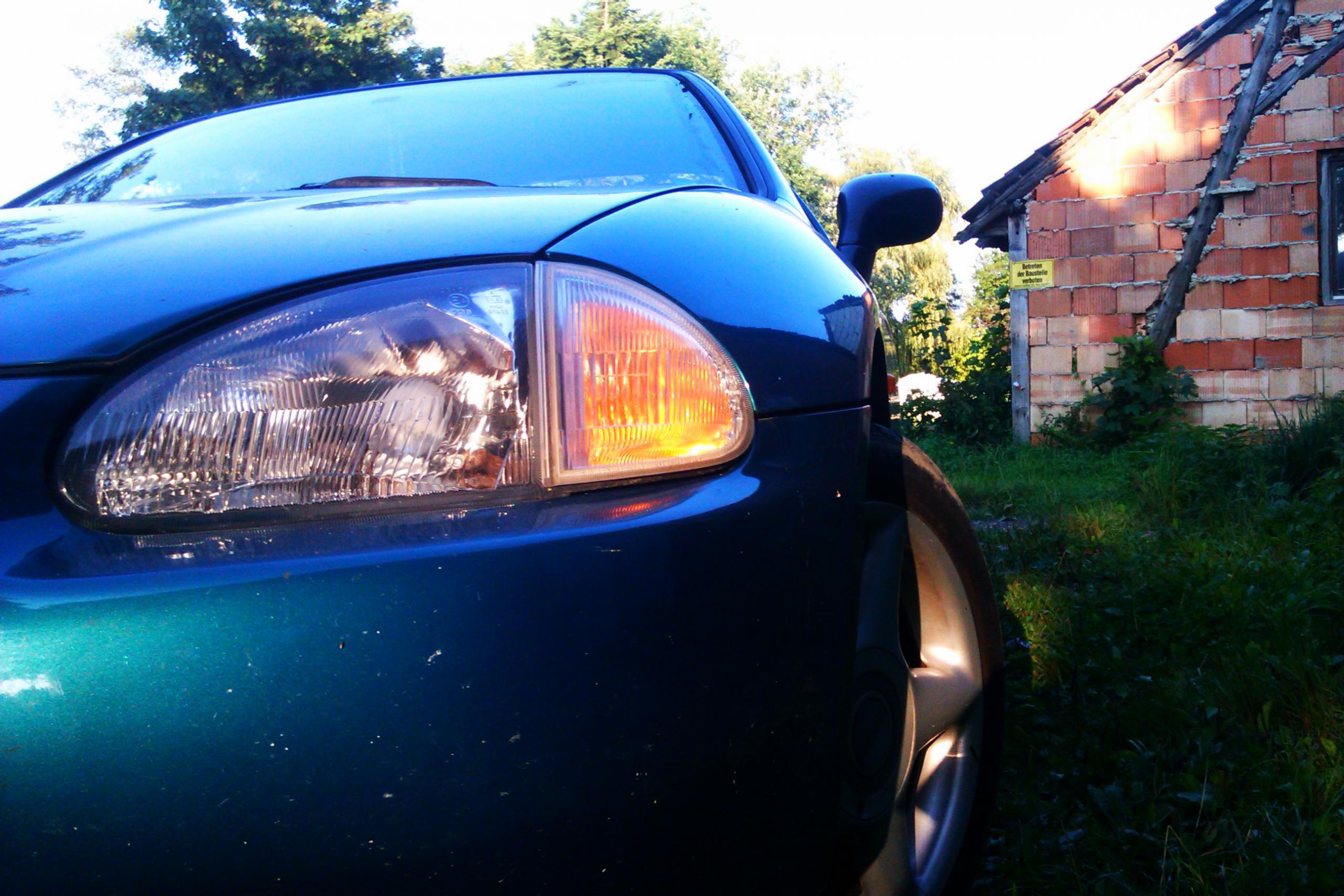 IMAG0034.jpg