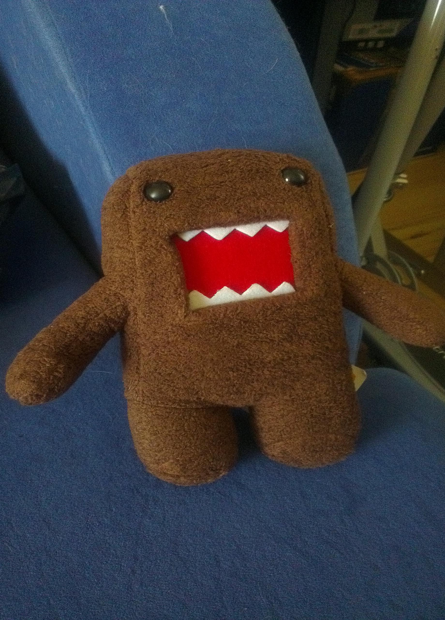 IMAG0209.jpg