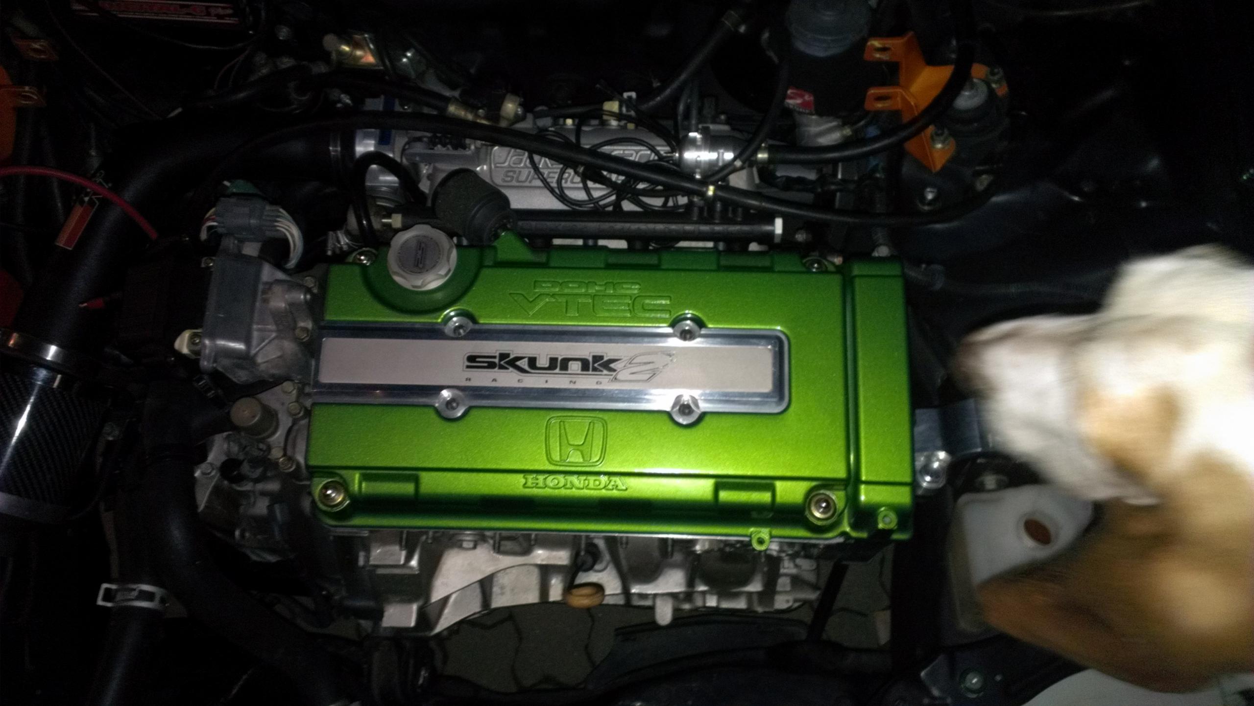 IMAG0222.jpg