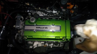 IMAG0222.jpg